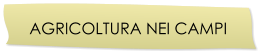 AGRICOLTURA NEI CAMPI